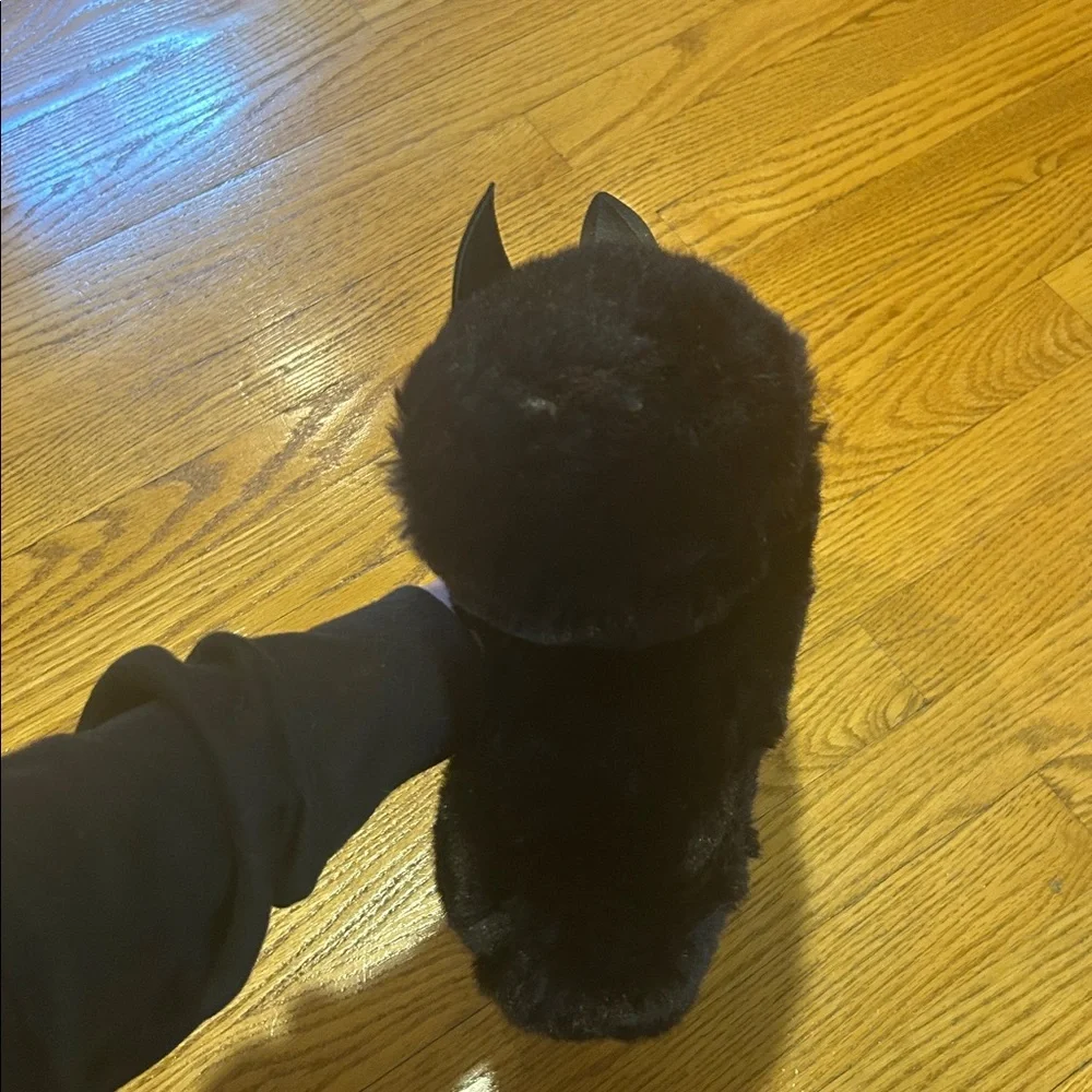 Pottery Barn Black Cat